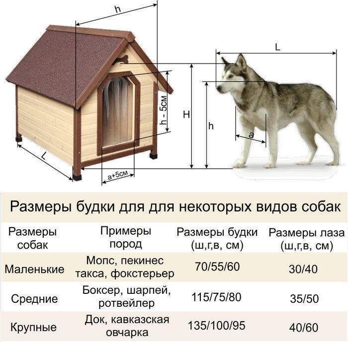 Размеры будки для собак