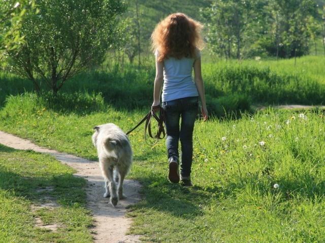 Прогулка с собакой