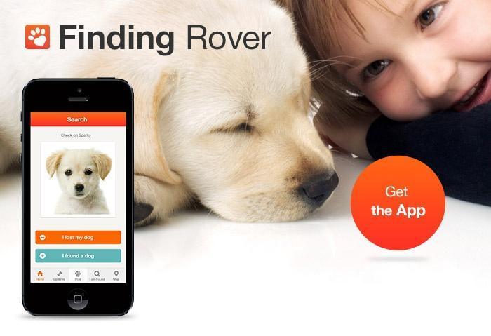 Приют для животных использует специальное приложение, помогающее находить потерянных собак