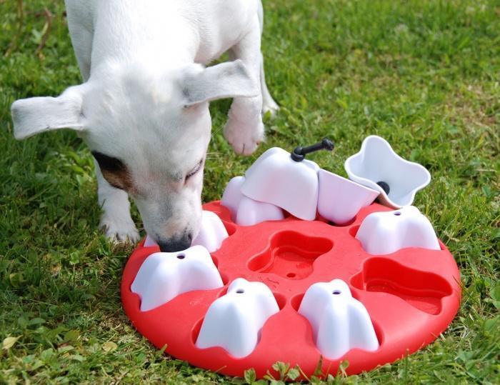 Pet Head COA Dog Magic игрушка для собак Магия