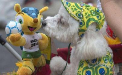 Собачий карнавал в Рио-де-Жанейро