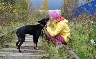 Прогулки с собаками - насколько важны и необходимы